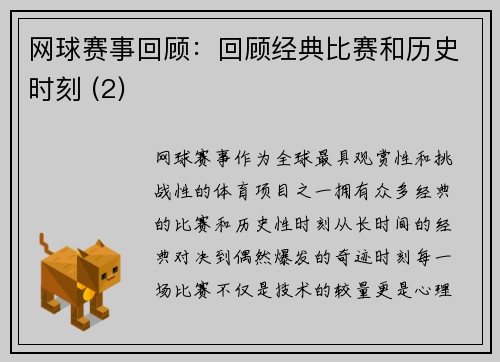 网球赛事回顾：回顾经典比赛和历史时刻 (2)